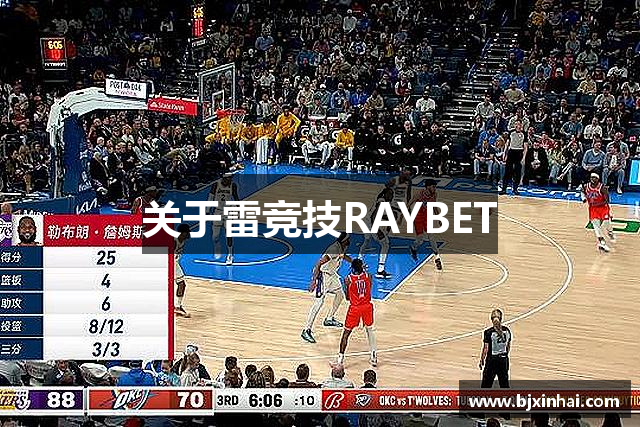 关于雷竞技RAYBET